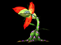 Nar Lily