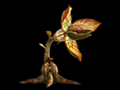 Ob Lily