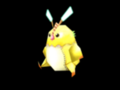 Rappy Madog
